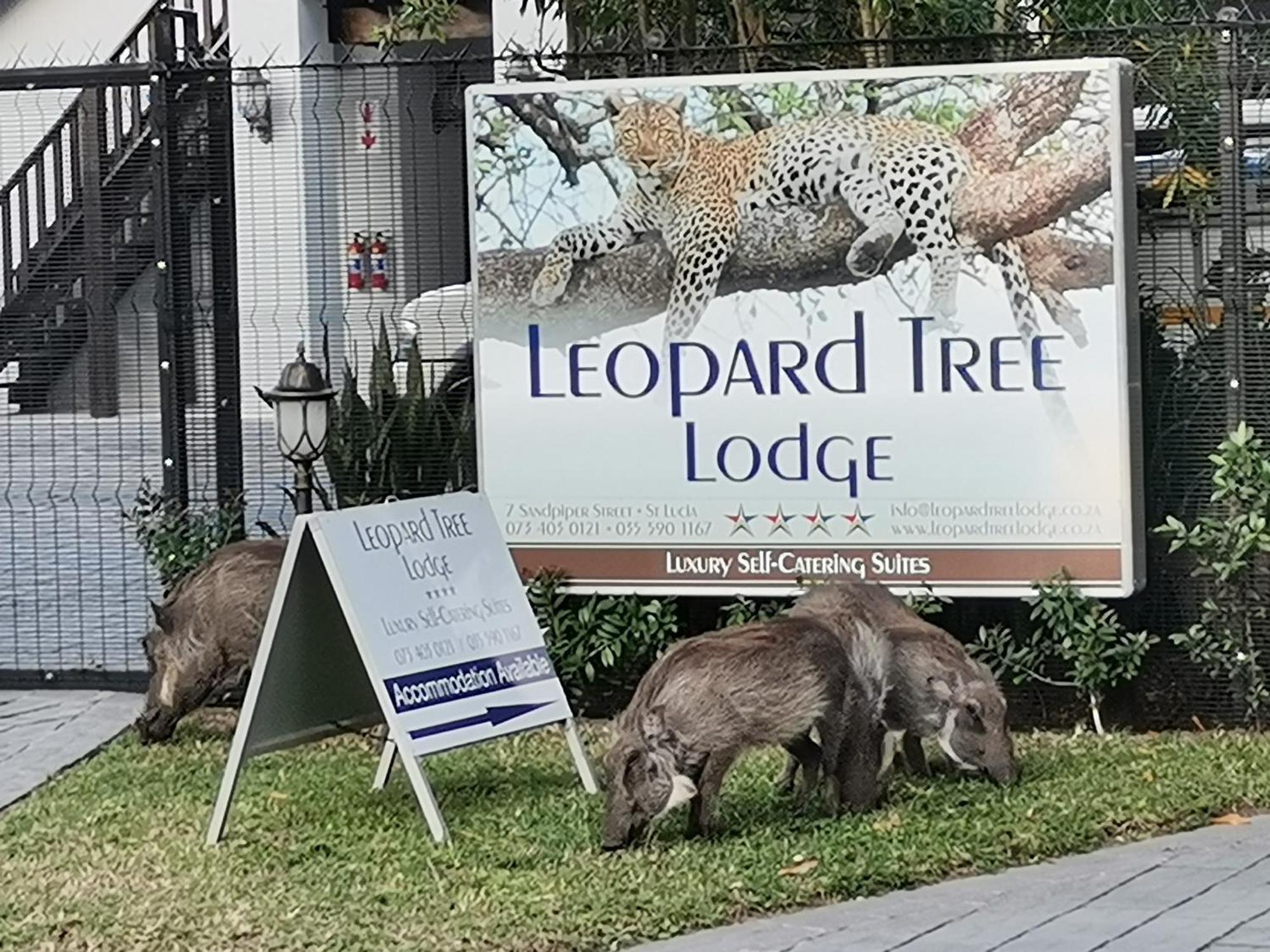 Leopard Tree Lodge Saint Lucia Estuary 外观 照片